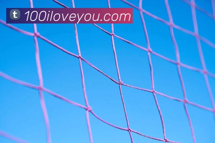 环球体育官网app登录入口发展历程